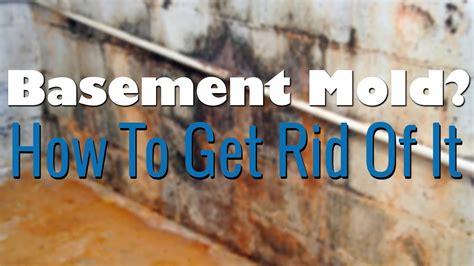 How do u get rid of mold in basement. Things To Know About How do u get rid of mold in basement. 